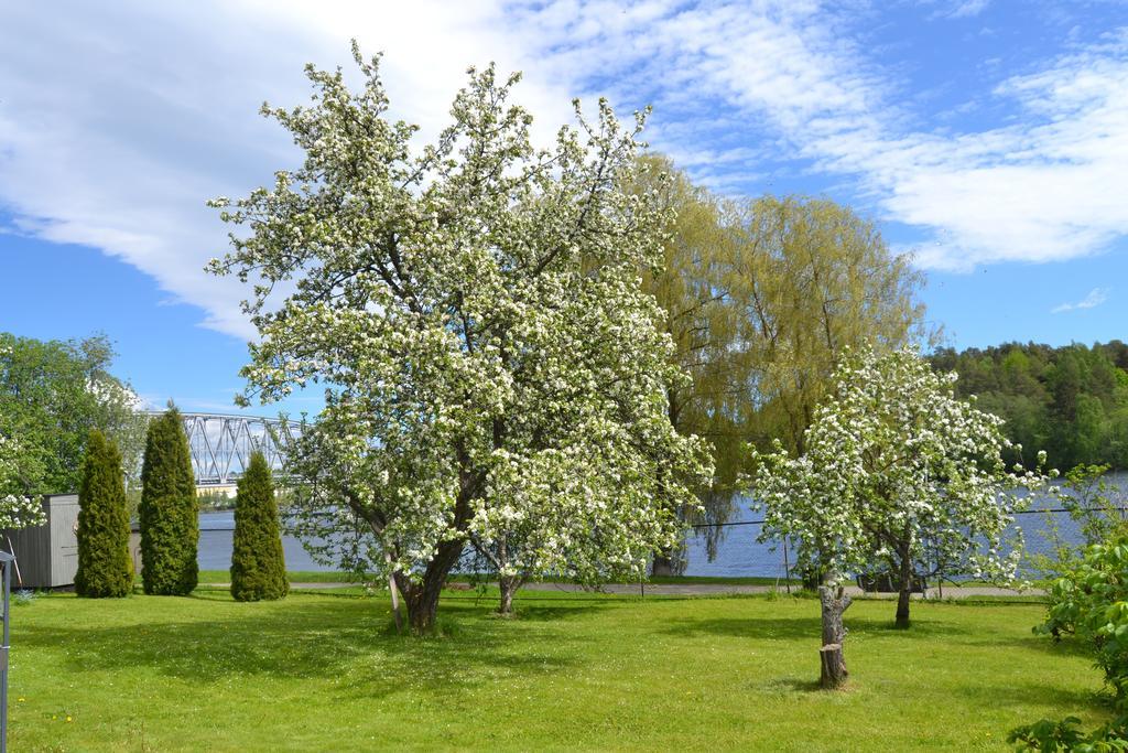 Lossiranta Lodge Savonlinna Esterno foto